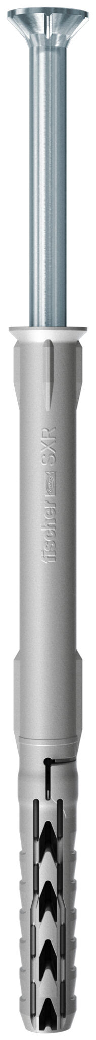 【本日特価】 Frame fixing SXR with countersunk head - fischer international レーシング